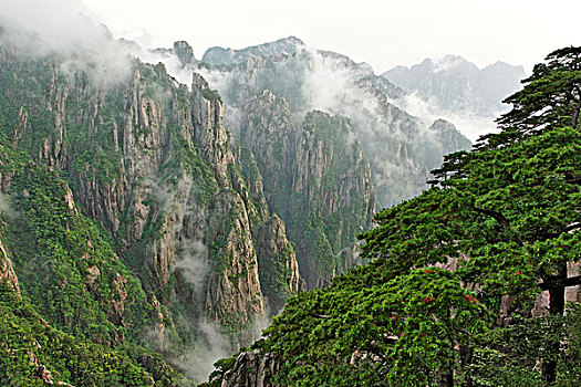蓝精灵药哪里有卖C1B8D97C5-18975